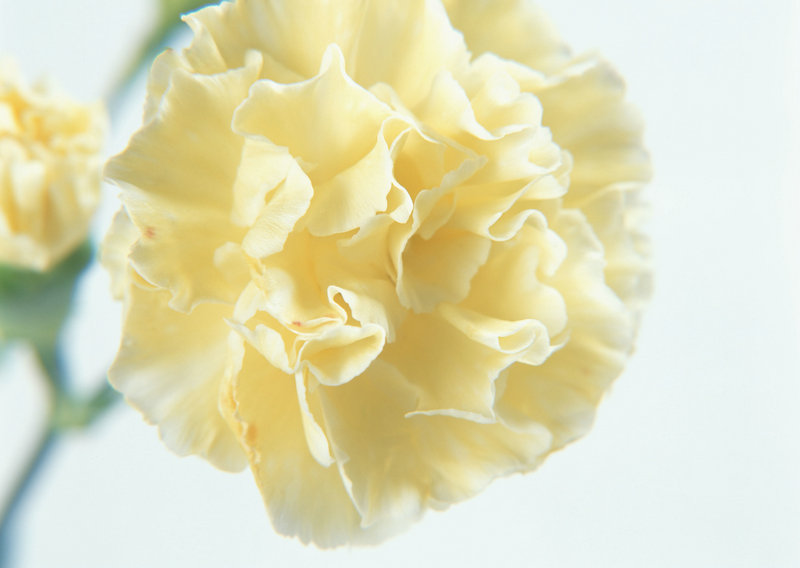 人马配速45分钟是(人马速四)