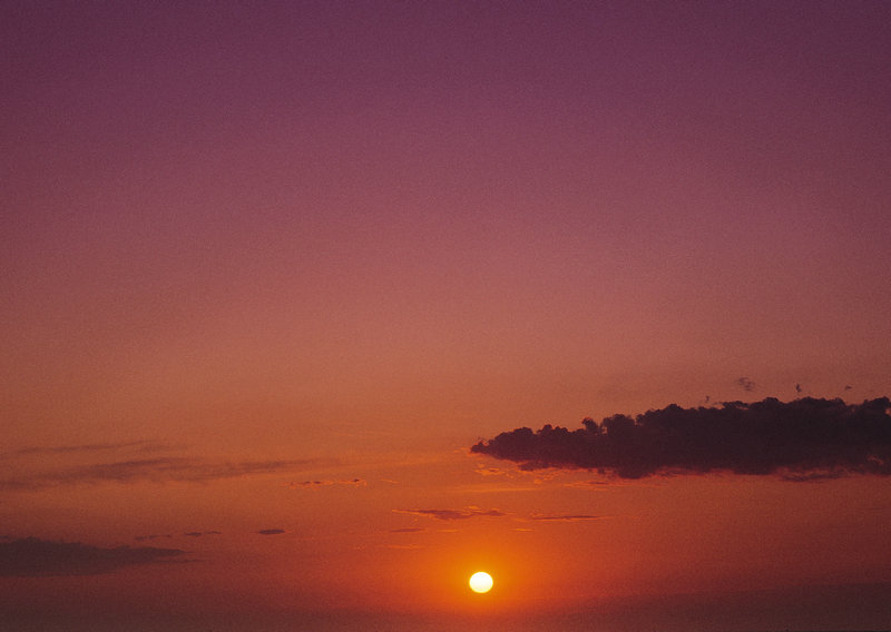 那年哈尔滨的冬天很冷曲婉婷
