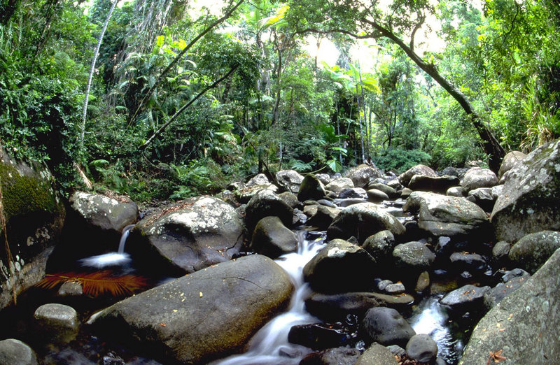 孝诚仁皇后赫舍里氏有着怎样的魅力 为何能让