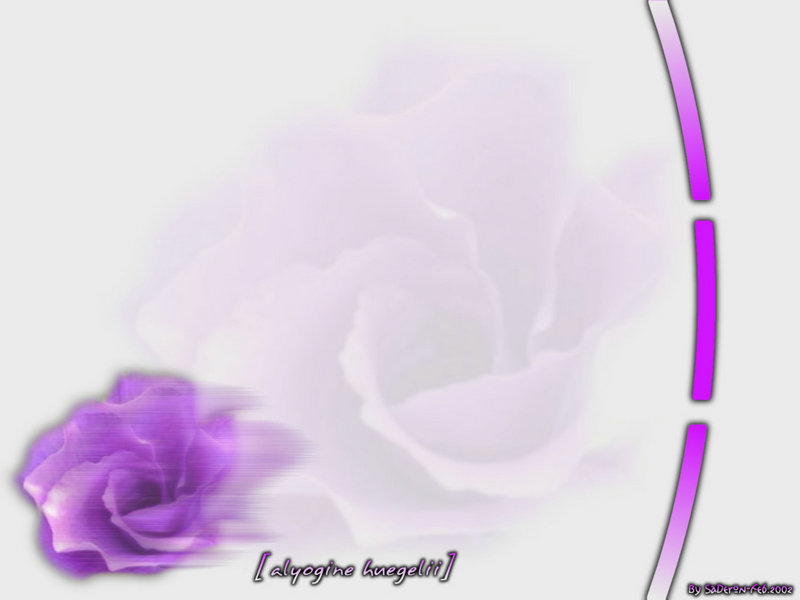 环氧地坪怎样施工操作