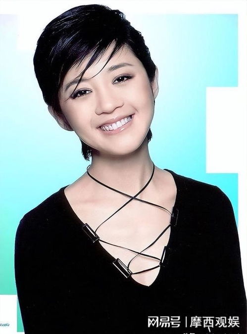 演员黄晓明个人简历演员黄晓明个人简历资料