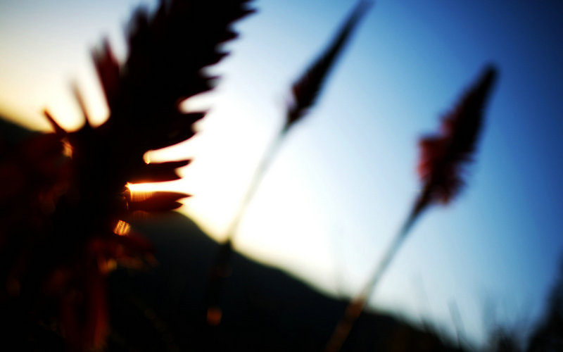 诬陷廉颇 让李牧冤死 郭开在历史上是什么样 诬陷廉颇 让李牧冤死 郭开在历史上是什么样