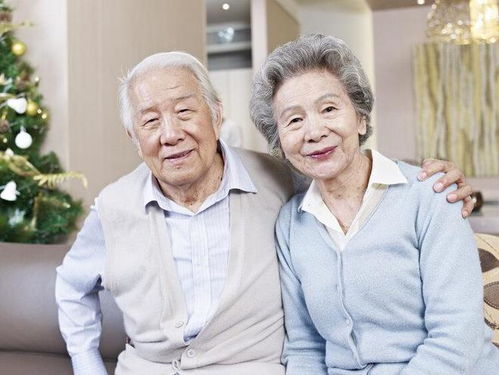 平面设计师培训