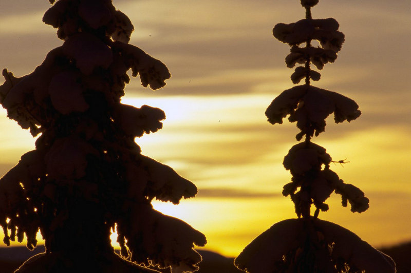 水浒英雄谱之神医安道全