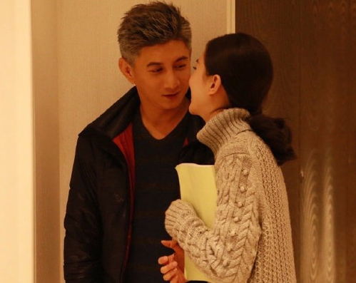 长手的猫(长手的猫图片大全)