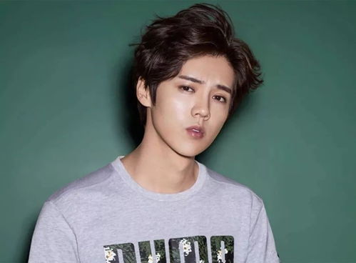 香港有人敢动霍家吗香港有比霍家厉害的吗