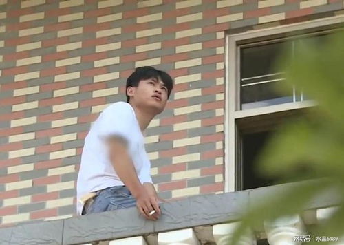 狼狗吃人(狼狗吃掉小孩)