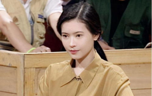 彭冠英蔡文静在一起了吗