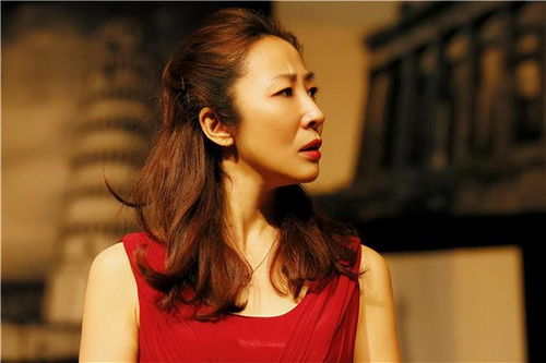 国会纵火案_过会纵火案