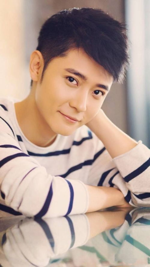 女子开车遇天降活鸡 警惕背后致命隐患