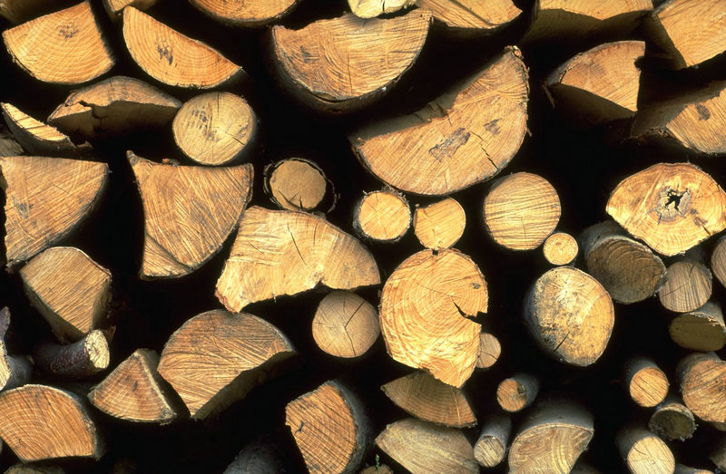 民警头等大事件 民警头等大事件