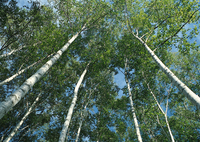 神策数据:数据驱动的方法与实践 终于出书了! 神策数据:数据驱动的方法与实践 终于出书了!