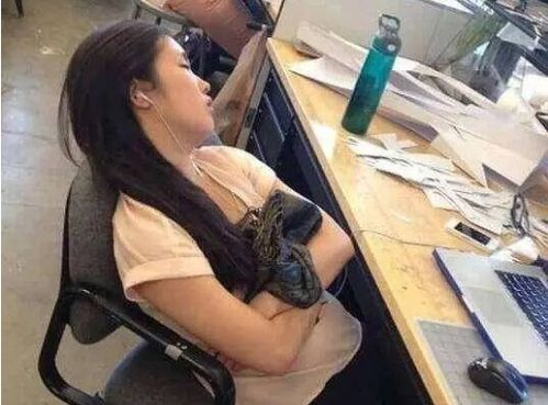 什么仇什么怨什么仇什么怨幽默回答