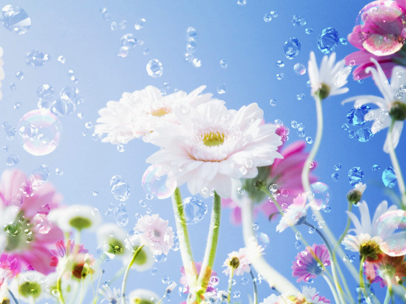 明星孕妇扭_ 网友说吉娜怀孕6个月的肚子还是