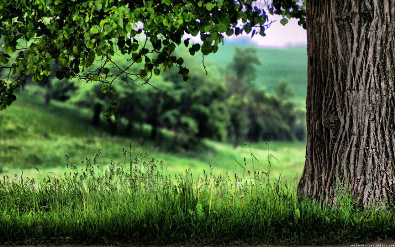 变形计逆风飞翔(变形计第七季之逆风飞翔完整免费观看)