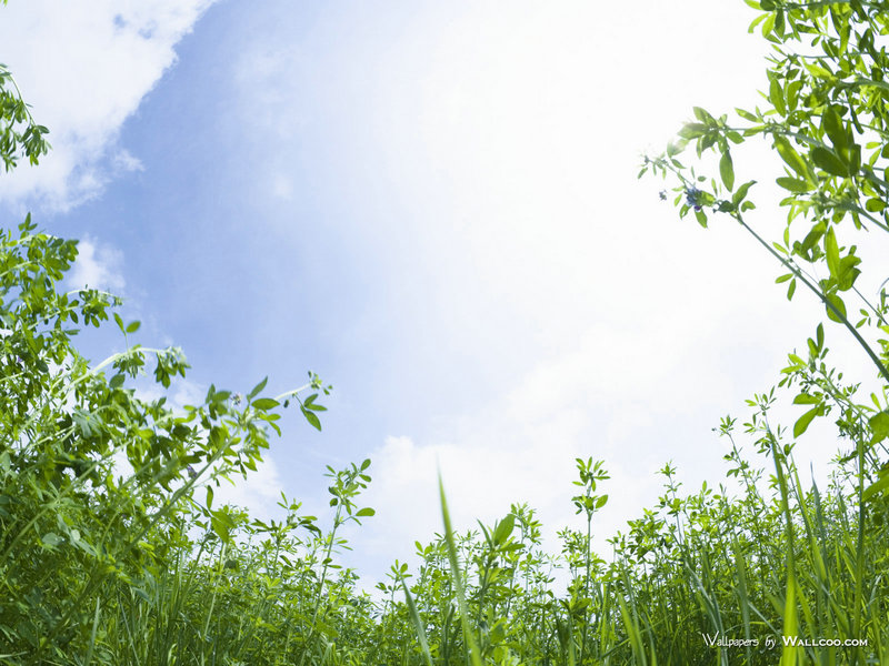 元气骑士种子图鉴大全(元气骑士种子图鉴大全天 元气骑士种子图鉴大全(元气骑士种子图鉴大全天