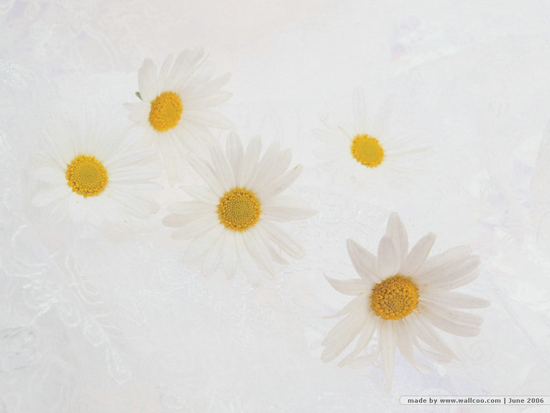 古巨基个人资料简介及苏有朋 苏有朋古巨基分