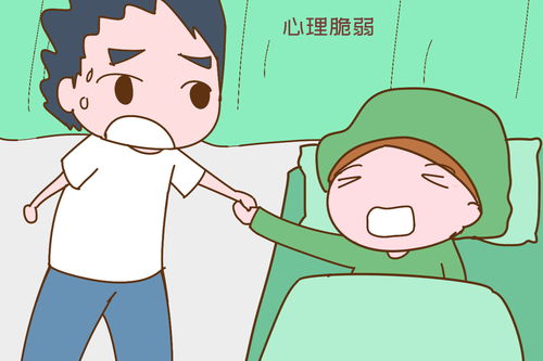 许晴和张翰同居是真的吗