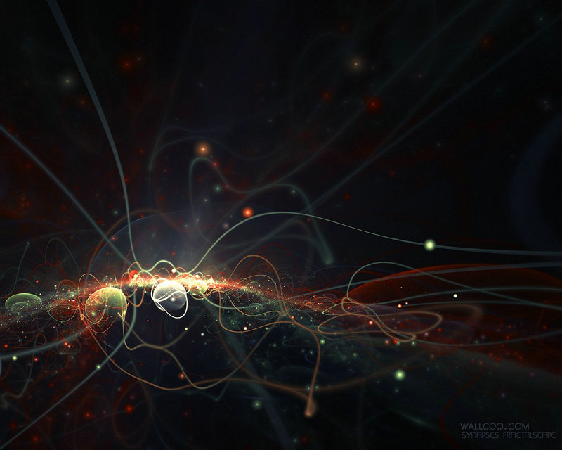 霍思燕爱犬在国际比赛夺冠 旗袍亮相布鲁塞尔犬展