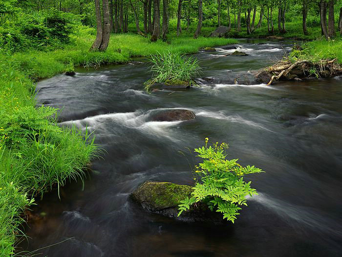 漫画免费韩漫 漫画免费韩漫下拉版