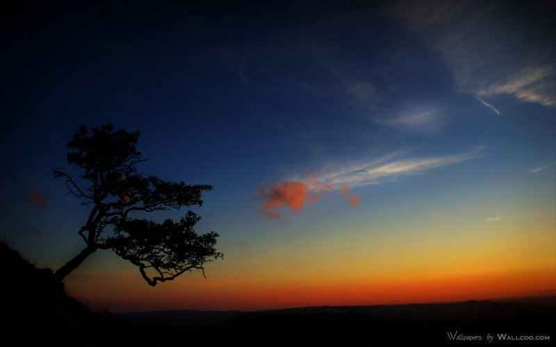 梁牧泽夏初是什么电视剧