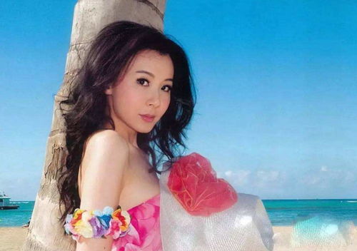 雷军回复张颂文 雷军老婆张彤照片