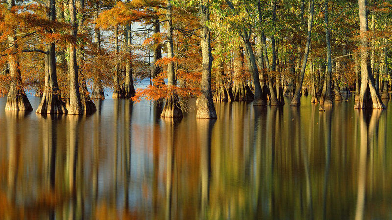 黄霄云是国家队吗 黄霄云新歌I’ll Carry On上线