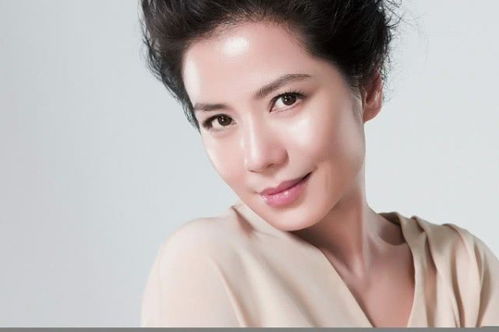 温兆伦为什么后来不火了