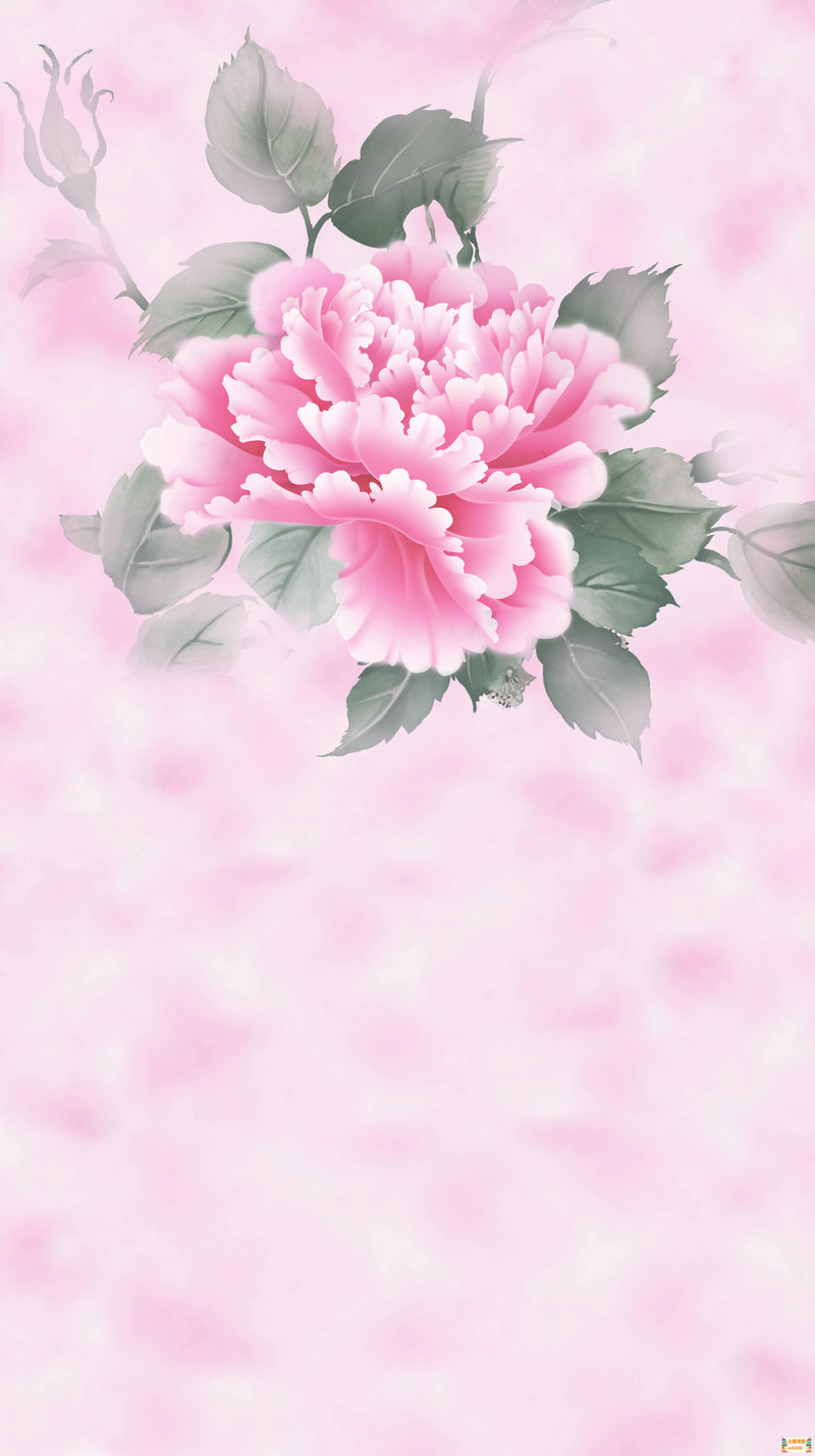 诈骗链接点开了怎么办