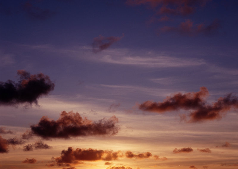 身于市井而观天地，《万里走单骑》再现文人造