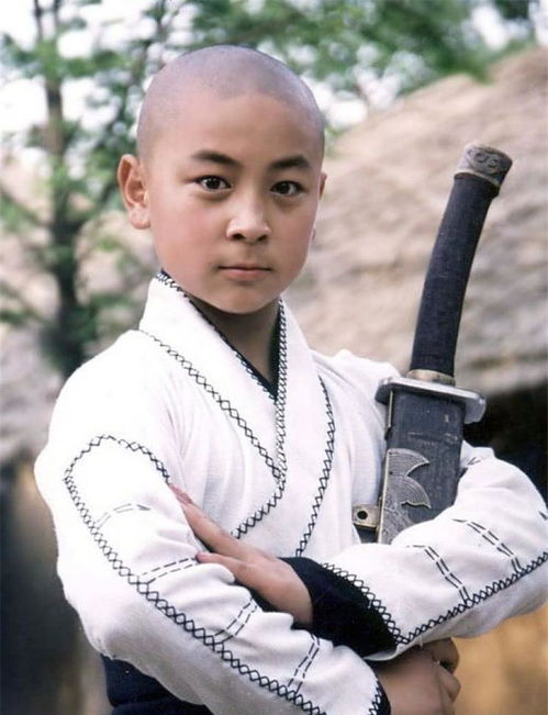 陈美琪现任老公身价多少