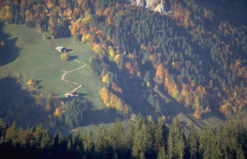 隐秘而伟大姐姐演员周知 隐秘而伟大演员