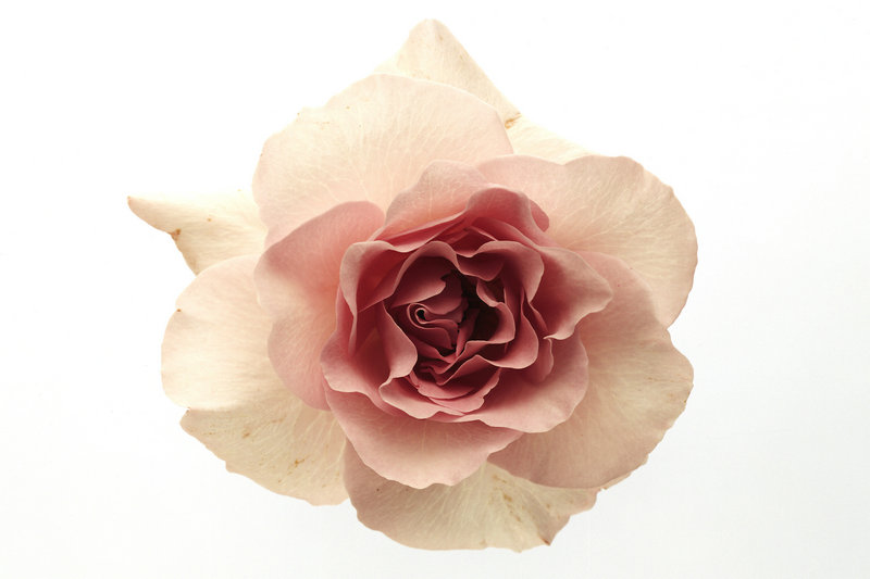 笑傲江湖吕颂国语免费版