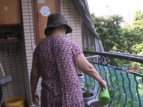 贾静雯迷人身材吻戏 贾静雯神医侠侣中8分钟的 贾静雯迷人身材吻戏 贾静雯神医侠侣中8分钟的