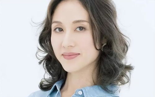 陈欧代言体 陈欧代言词仿写