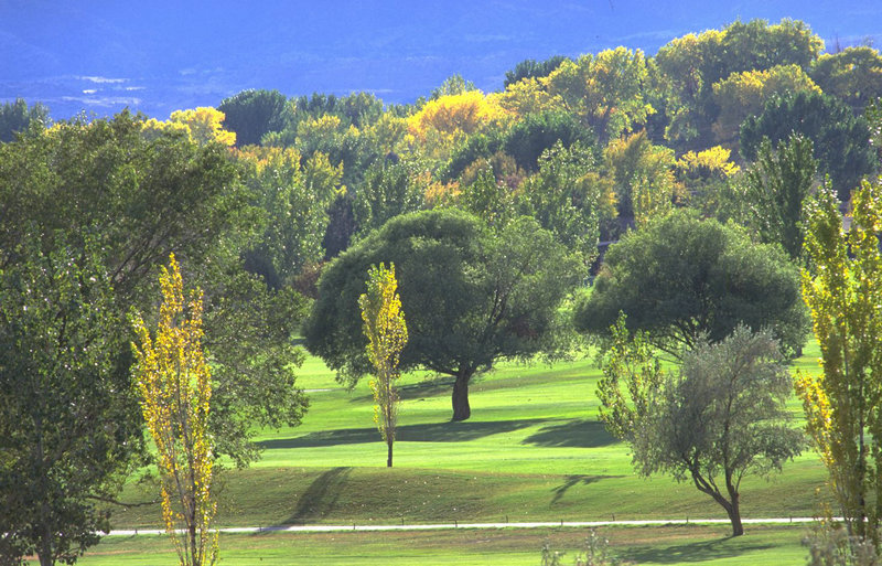 什么烟好抽又显档次 十大口感好的香烟排行榜