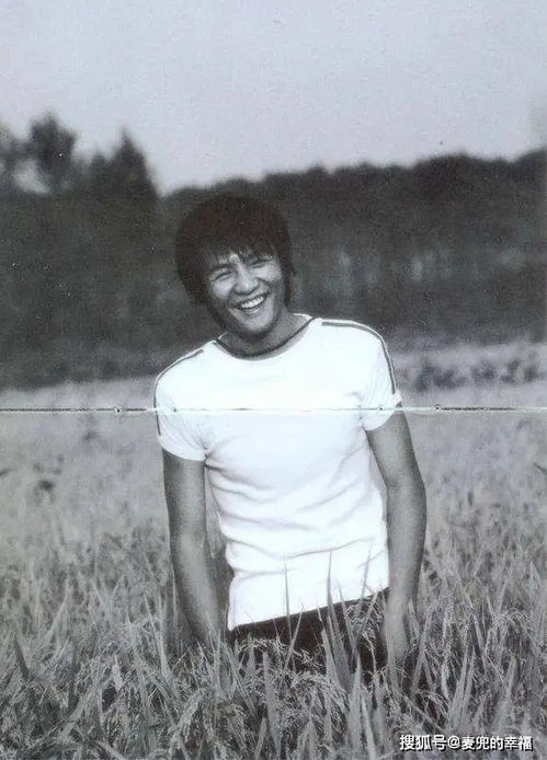 魔法动画片大全