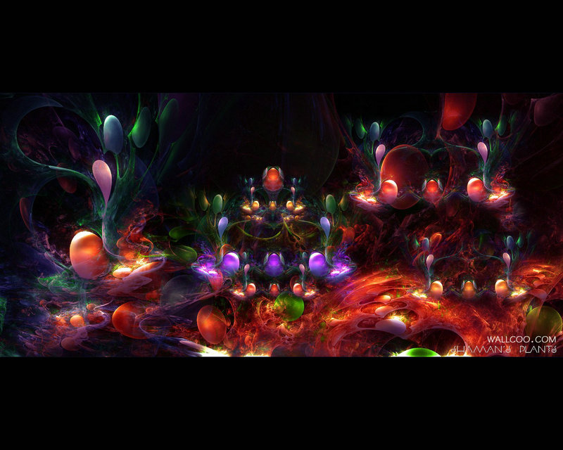 车晓彤资料 演员车晓彤近况 车晓彤资料 演员车晓彤近况