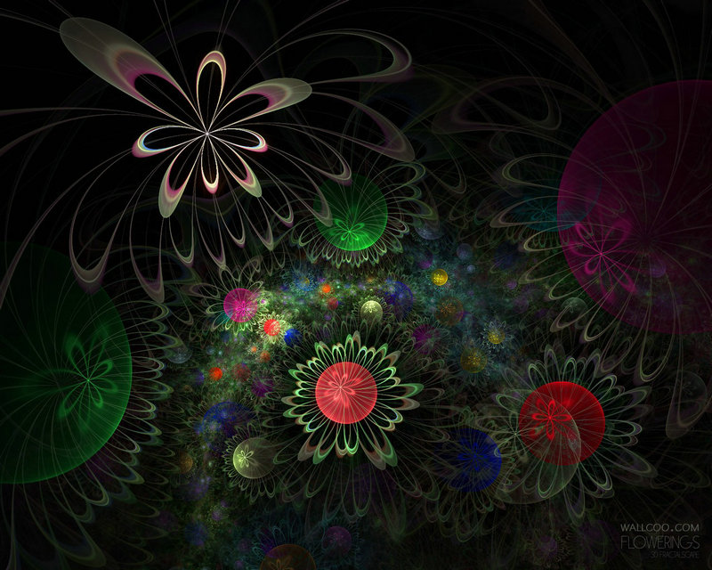 魔兽世界最  的套装在哪买(魔兽世界最  的幻