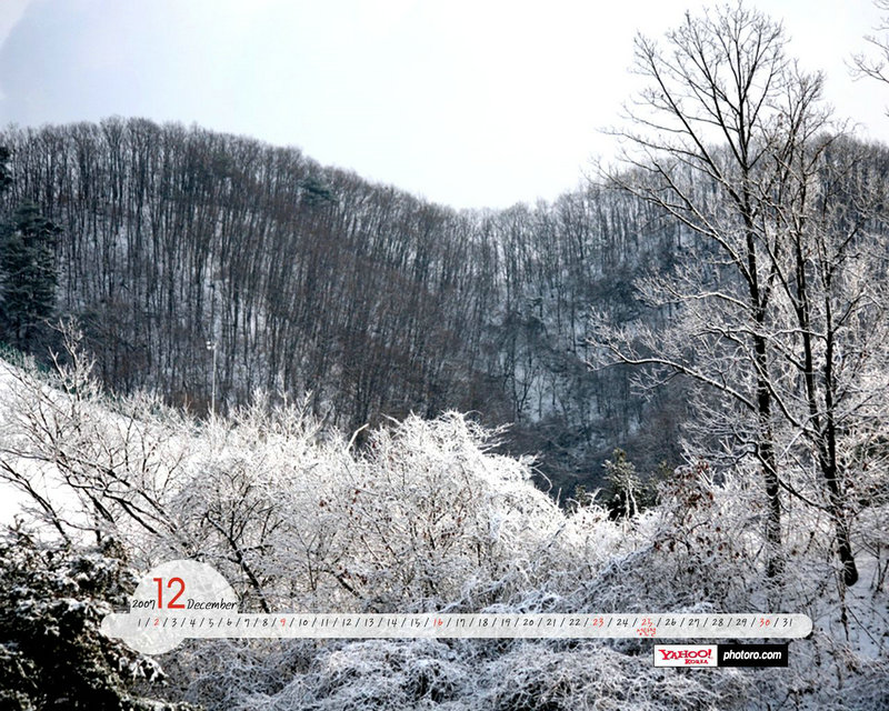北京爱情故事娜娜扮演者