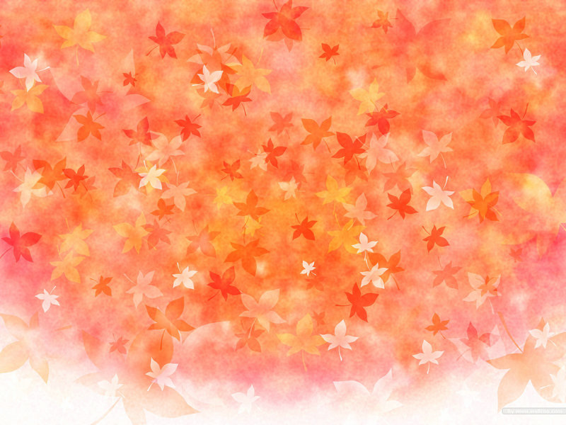 酷客免费影视剧观看扫黑风暴