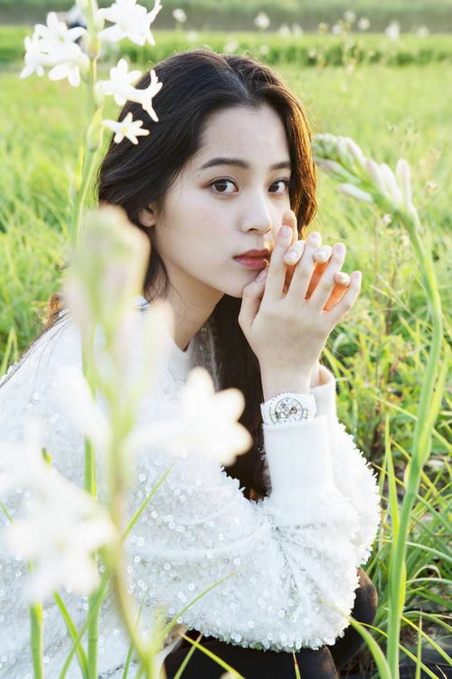 美国对欧旅行禁令 美国旅行禁令 美国对欧旅行禁令 美国旅行禁令