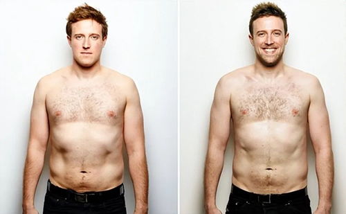 社会保险费 社会保险费法