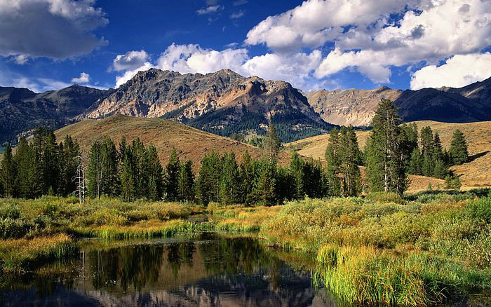 林宥嘉哪个亲人得病了