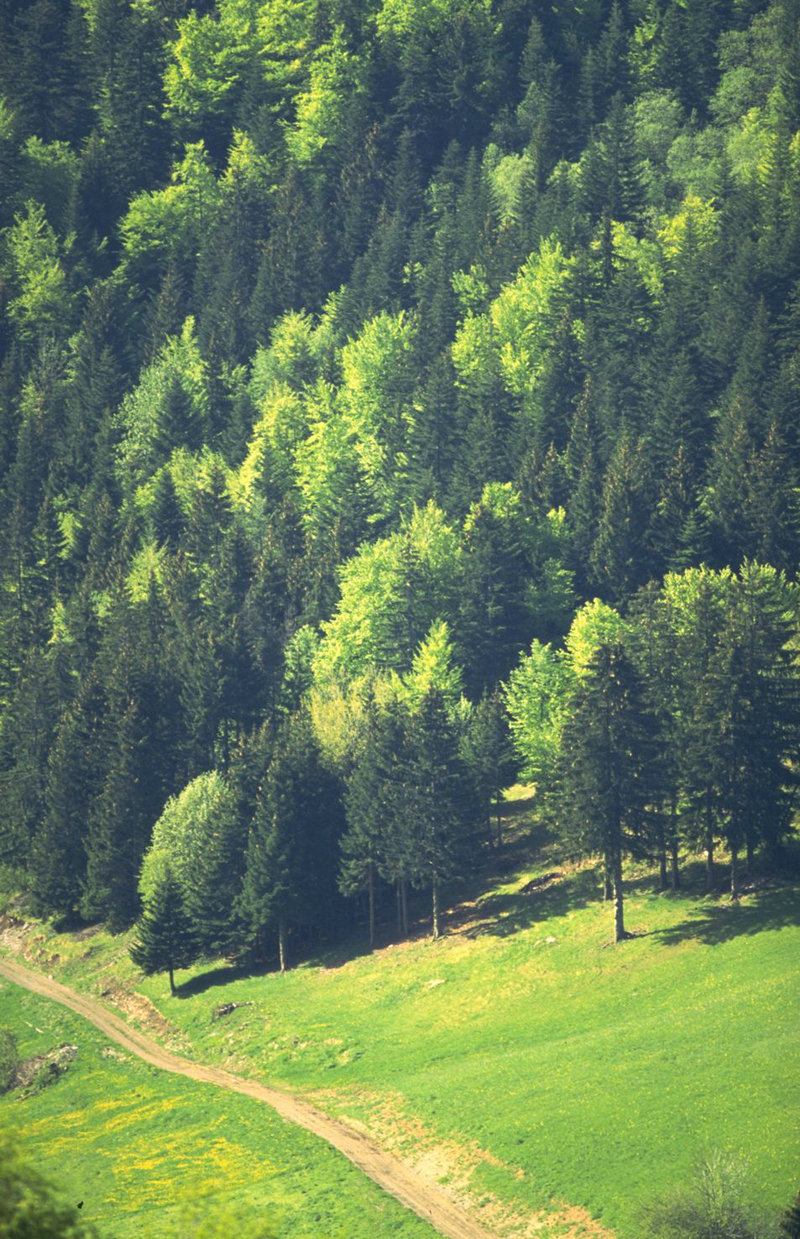 多大生的_多大年纪