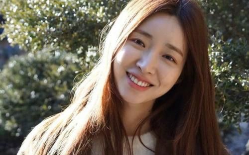 蜜蜂消失蜜蜂消失了