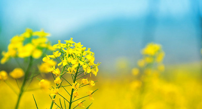 任嘉伦是谁的儿子啊任嘉伦是谁的儿子啊图片