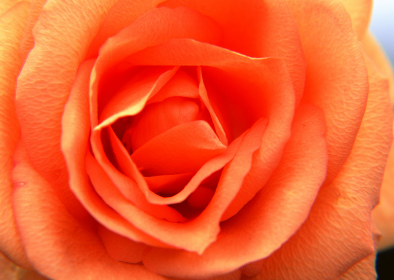 写给无法在一起的人-写给无法在一起的人文案短句 写给无法在一起的人-写给无法在一起的人文案短句