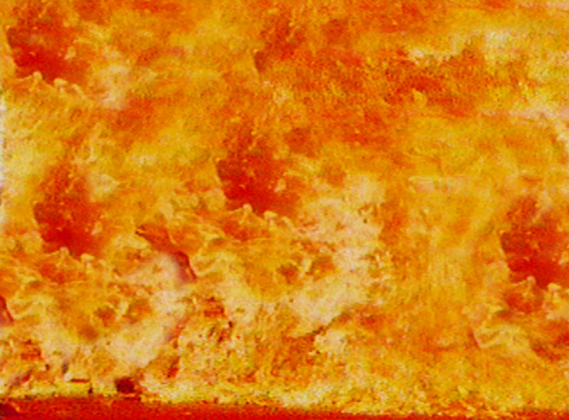 自由的组词和拼音分别是什么 应该怎么写 