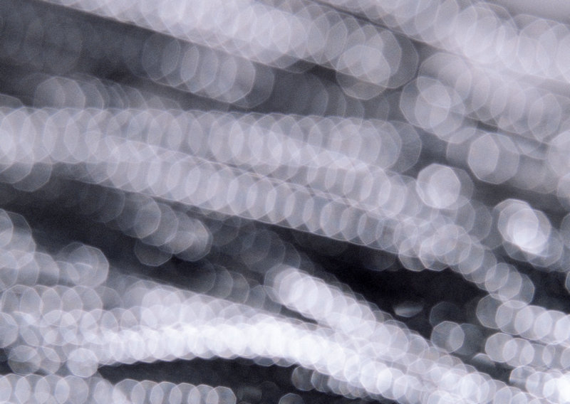 好声音陈永馨 陈永馨 刘珂如果云知道是哪一年